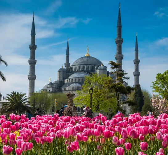 The Blue Mosque