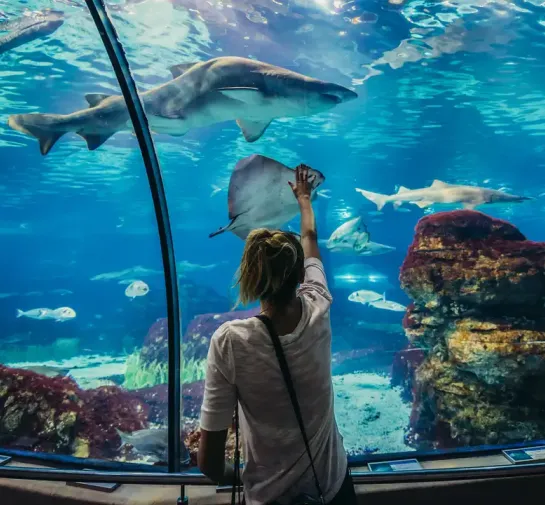Barcelona Aquarium